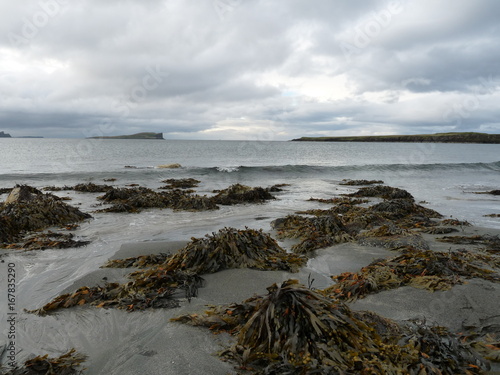 beach on Skye