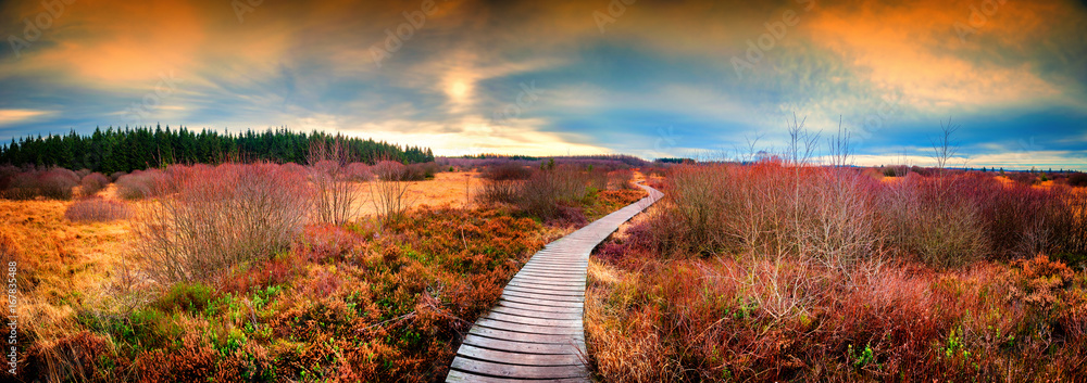 Panoramic autumn landscape with wooden path. Fall nature background - obrazy, fototapety, plakaty 