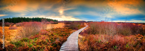 Panoramic autumn landscape with wooden path. Fall nature background #167835488