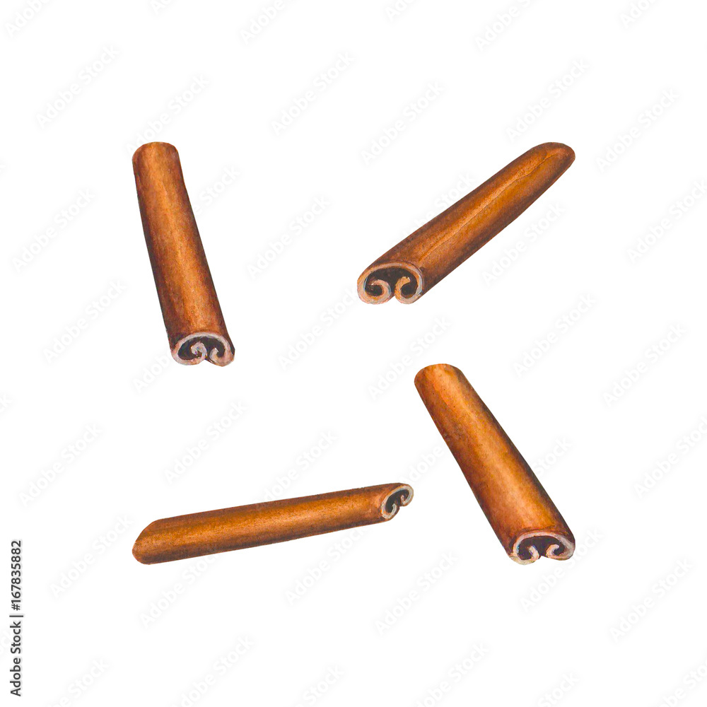 Watercolor cinnamon sticks set Watercolor cinnamon sticks set