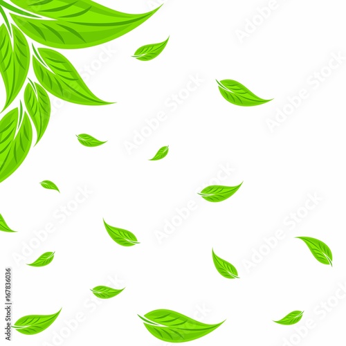 background with green leaves.