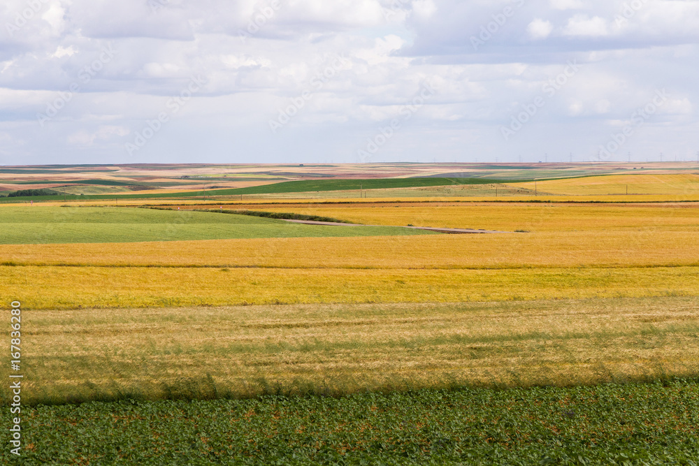 Vista general de campos agricolas con cultivos diversos de distintos colores en verano Vista general de campos agricolas con cultivos diversos de distintos colores en verano