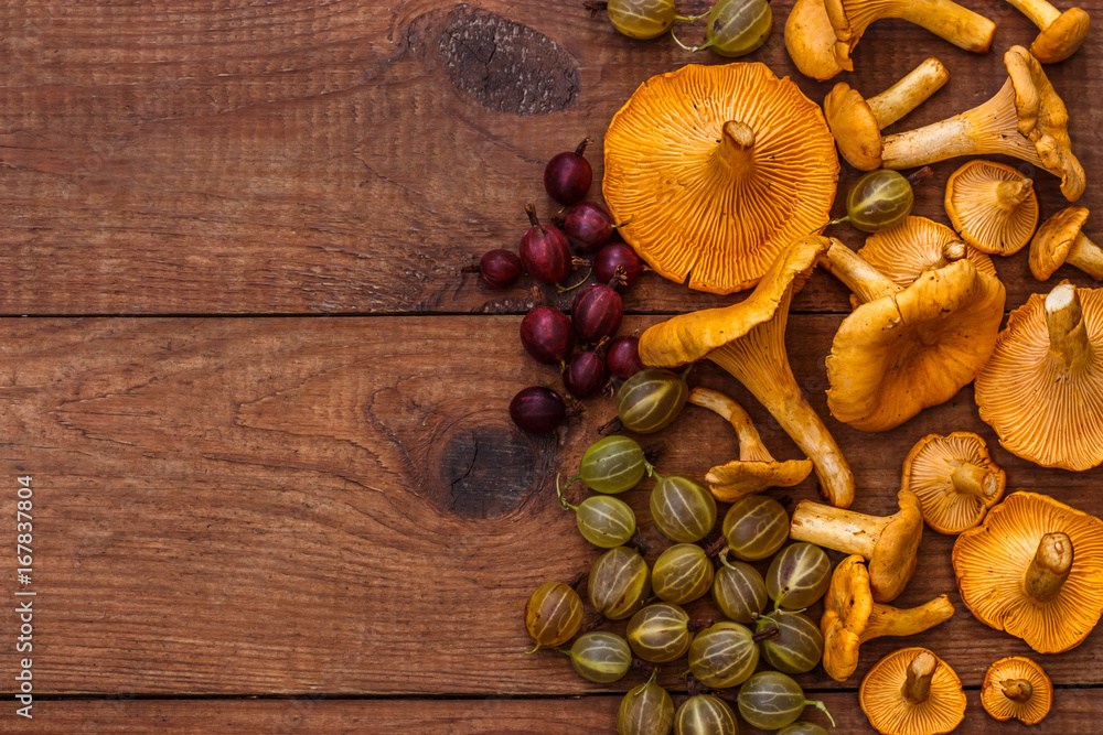 brown wooden background with a generous autumn harvest: chanterelle mushrooms, yellow and red gooseberries brown wooden background with a generous autumn harvest: chanterelle mushrooms, yellow and red gooseberries