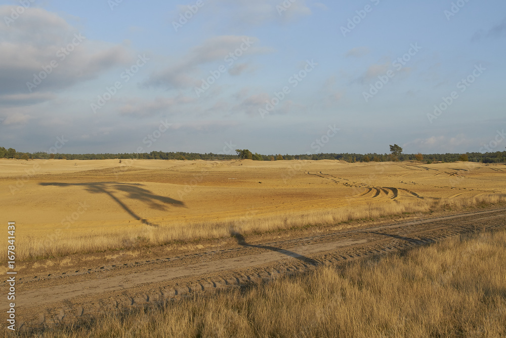 Sand plane and tree shadow