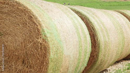 Row of hay bales in rural field