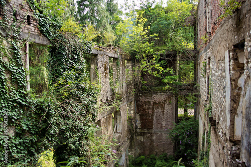Destroyed by war overgrown by trees and ivy ruins of apartment house in Tquarchal