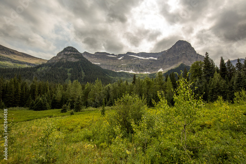 mountain and forest meadow view