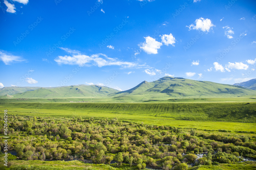 green meadow under a blue sky green meadow under a blue sky