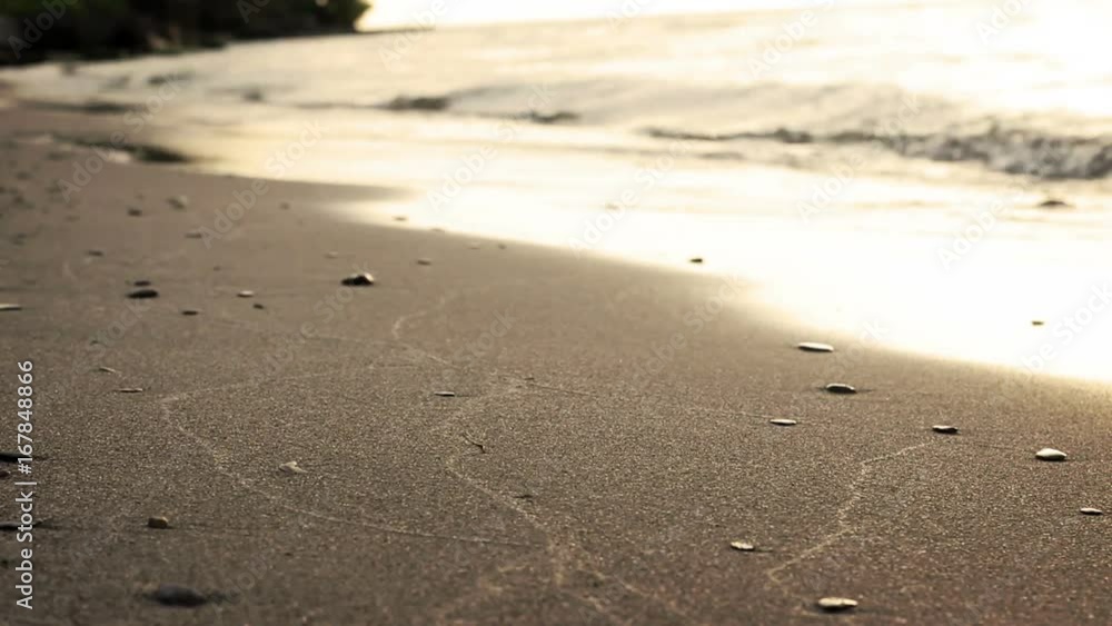 Beautiful shoreline of tropical inslet near sunset Beautiful shoreline of tropical inslet near sunset