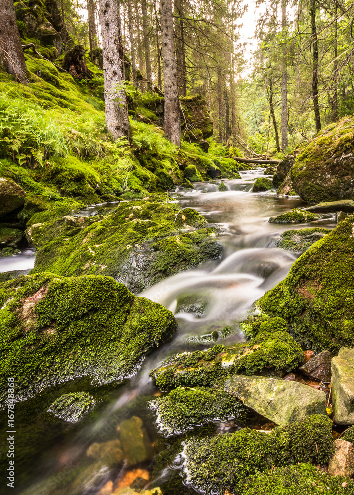 Obraz premium Water flow in a stream, long exposure, vertical