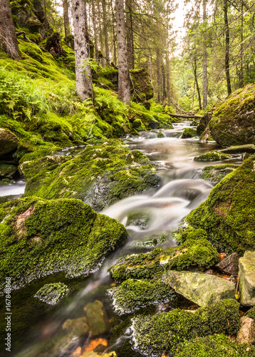 Fototapeta Naklejka Na Ścianę i Meble -  Water flow in a stream, long exposure, vertical