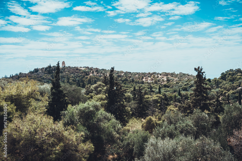 Semi-arid green trees on hills in Greece