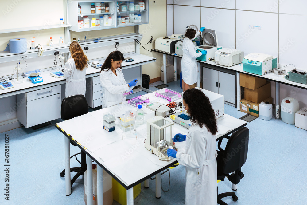 Interior of laboratory with four doctors working. Interior of laboratory with four doctors working.