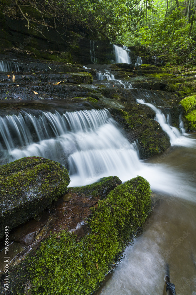 Obraz premium Stream & Waterfalls, Greenbrier, Great Smoky Mountains NP
