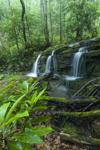 Fototapeta Naklejka Na Ścianę i Meble -  Stream & Waterfalls, Greenbrier, Great Smoky Mountains NP