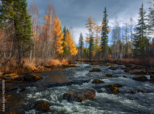 Autumn River Olha in Eastern Siberia, Irkutsk region