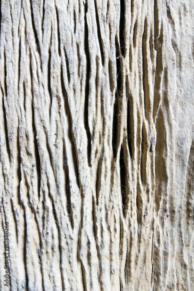 Old Wooden texture background. Old Wooden texture background.