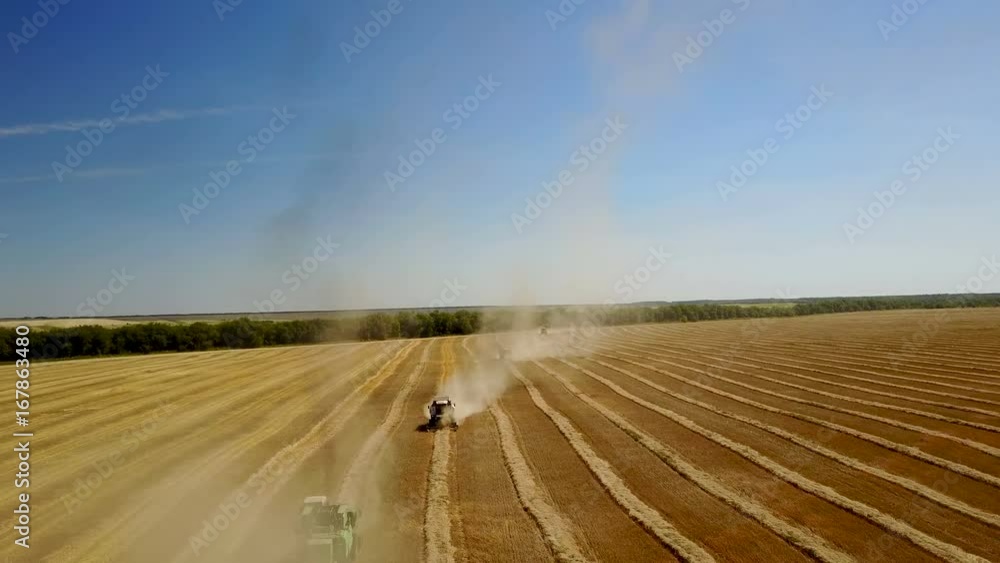 Collecting wheat harvesters in summer areal Collecting wheat harvesters in summer areal