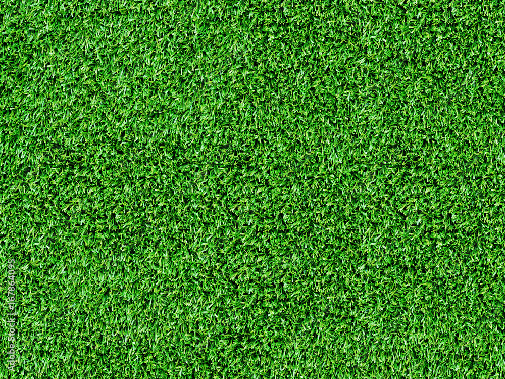 Fototapeta premium Texture green grass. Background of green turf grass. Texture coating of a football field. Green lawn