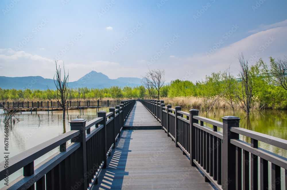 Fototapeta premium Lijiang Lashi Lake Wetlands is a national natural scenic spot near the city of Lijiang,China. The tourist activities there include horse riding, bird watching, boat ride and fishing. 