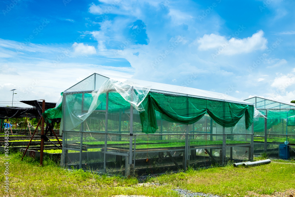Organic farm Greenhouse outdoor in beautyful day light blue sky and clouds. Organic farm Greenhouse outdoor in beautyful day light blue sky and clouds.
