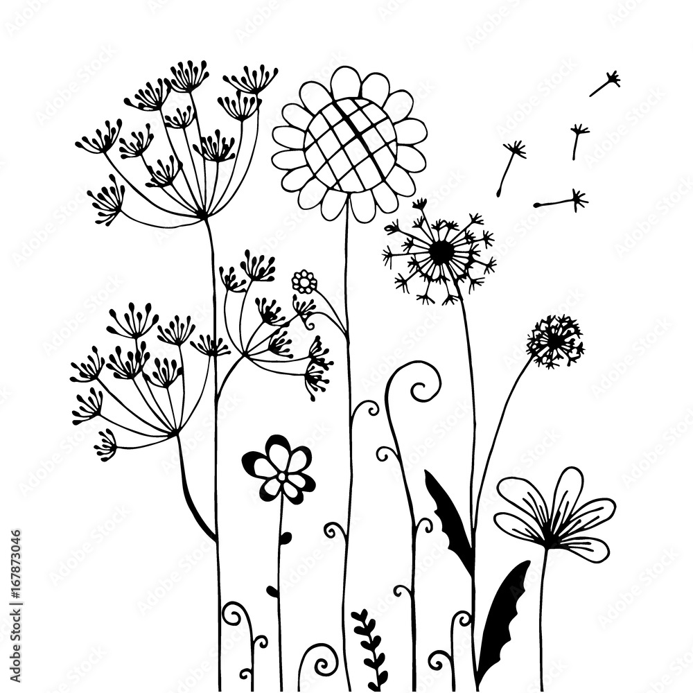 Fototapeta Ręcznie rysowane kwiatów wiatru na białym tle.