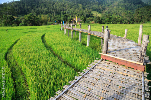 Rural Green rice fields and bamboo bridge in Pai   Mae Hong Son province.