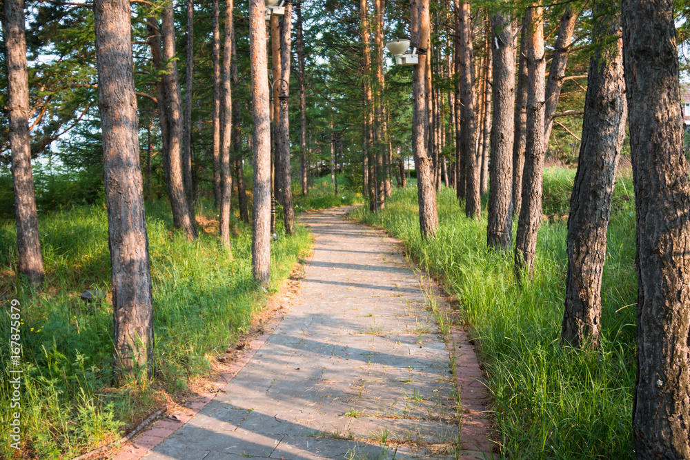 Fototapeta premium Park sidewalk