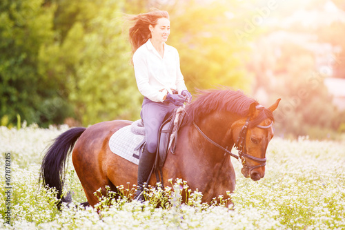 Young rider girl with long hair riding bay horse on camomile field at sunny day