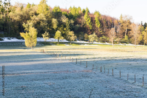 Spätfrost im Frühling photo