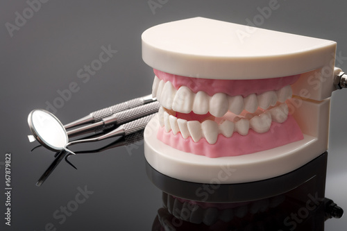 Dentist appointment  dentistry instruments and dental hygienist checkup concept with teeth model dentures and stomatology instruments on dark grey. Regular checkups are essential to oral health