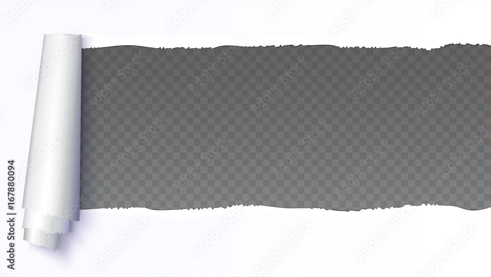 Realistic white torn open paper with space for text on transparent, horizontal background, holes in paper. Torn strip of paper with uneven, torn edges. Coiling torn strip of paper