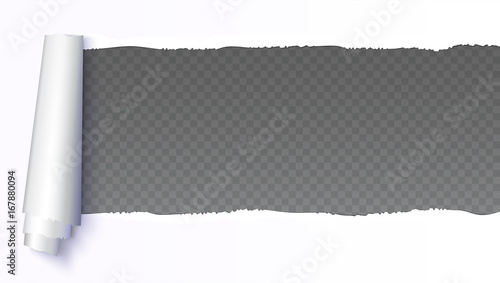 Realistic white torn open paper with space for text on transparent, horizontal background, holes in paper. Torn strip of paper with uneven, torn edges. Coiling torn strip of paper