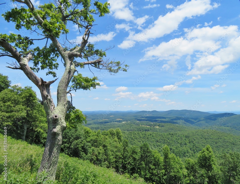 Fototapeta premium Mountain scenery along the Blue Ridge Parkway