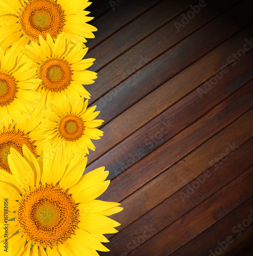 Fototapeta Naklejka Na Ścianę i Meble -  Sunflowers on old wood background