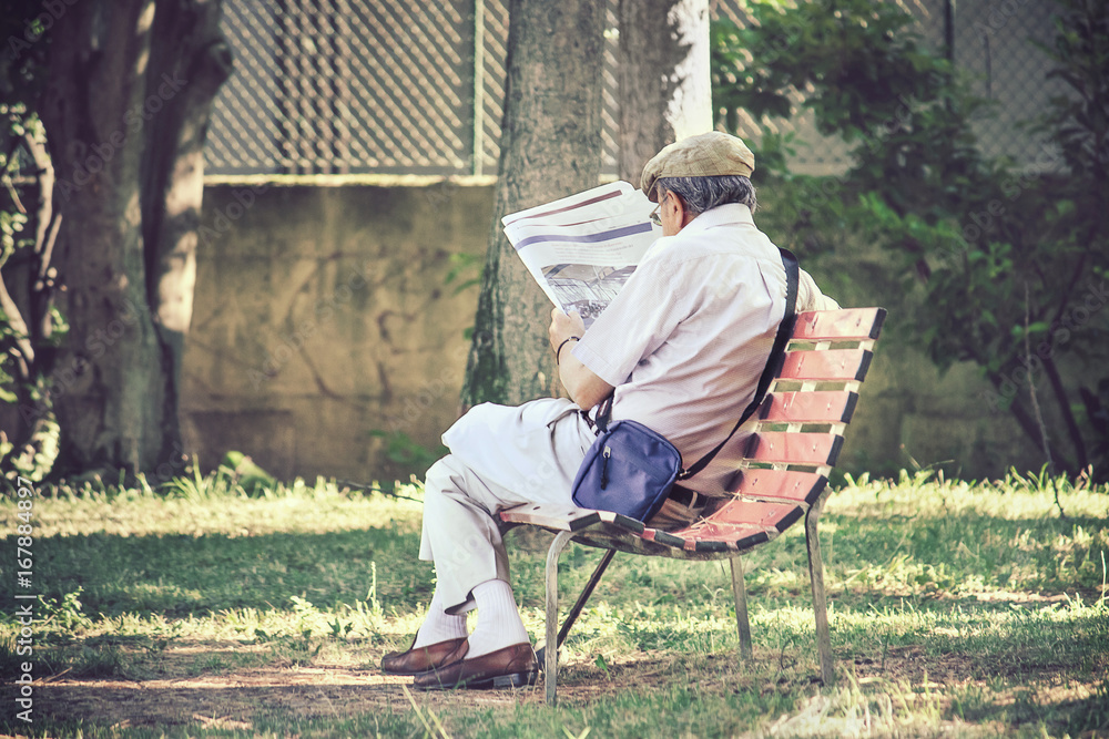 Fototapeta premium senior reading news, free time in retirement at the park 