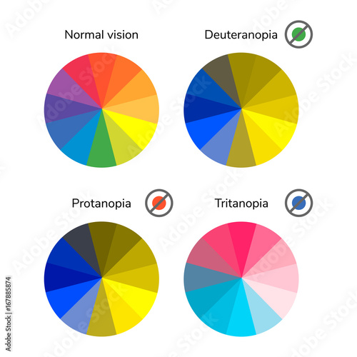 vector illustration, infographics, color wheel, palette, normal photo