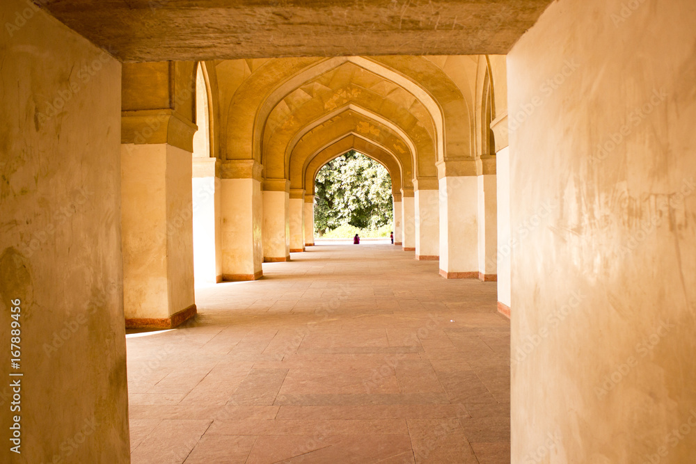 Fototapeta premium agra