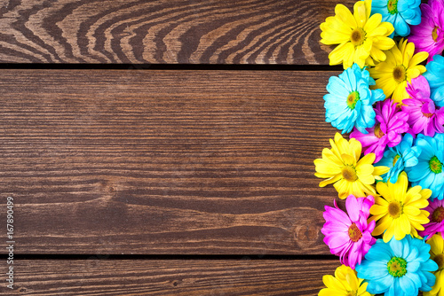 Colorful flowers on an old wooden background. Close up