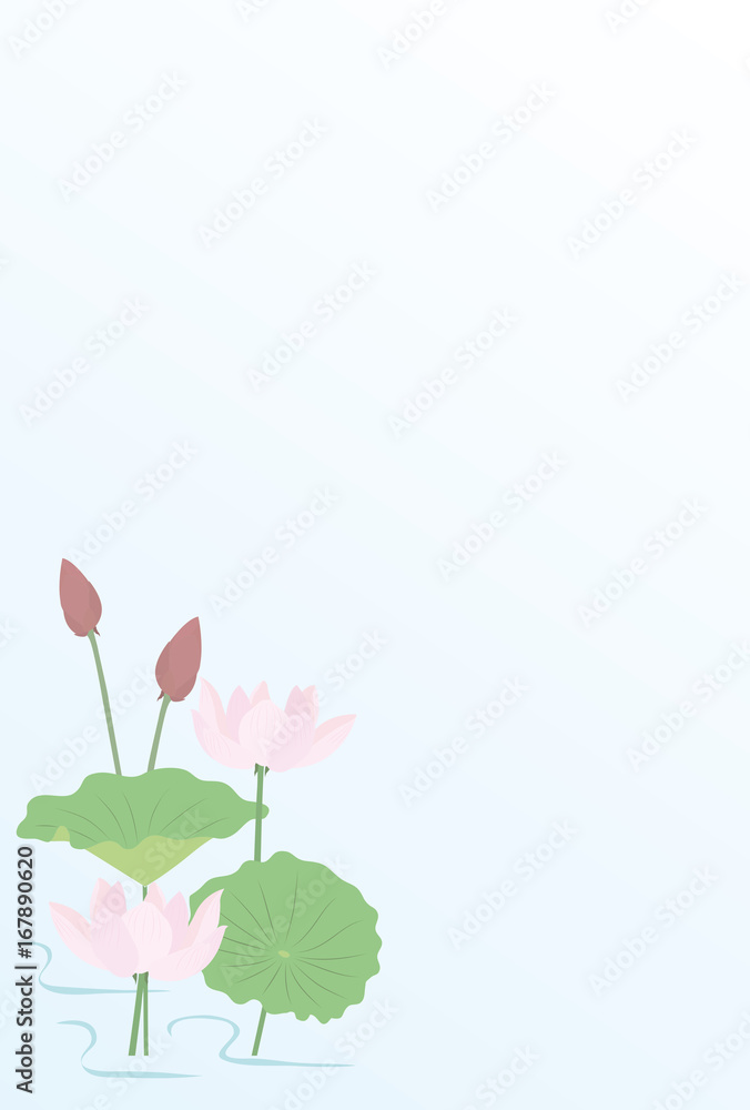 Lotus　蓮の花