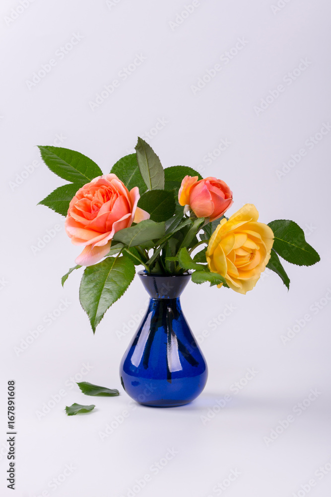 Fototapeta premium Fresh yellow and peach roses in a blue vase isolated on white background