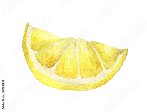 Watercolor lemon slice. Hand drawn illustration, isolated on white background with clipping path