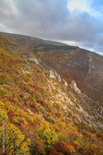 Beautiful landscape in the mountain with colorful autumn forest