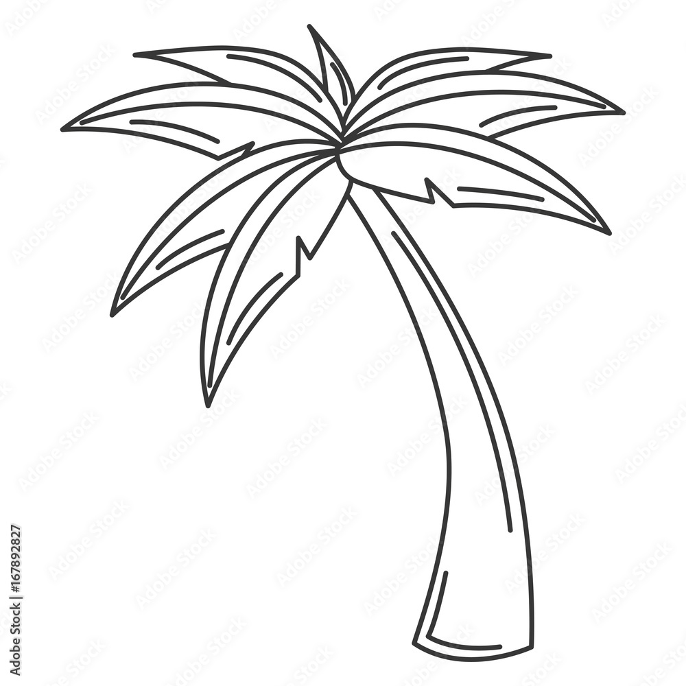 tree palms isolated icon vector illustration design tree palms isolated icon vector illustration design