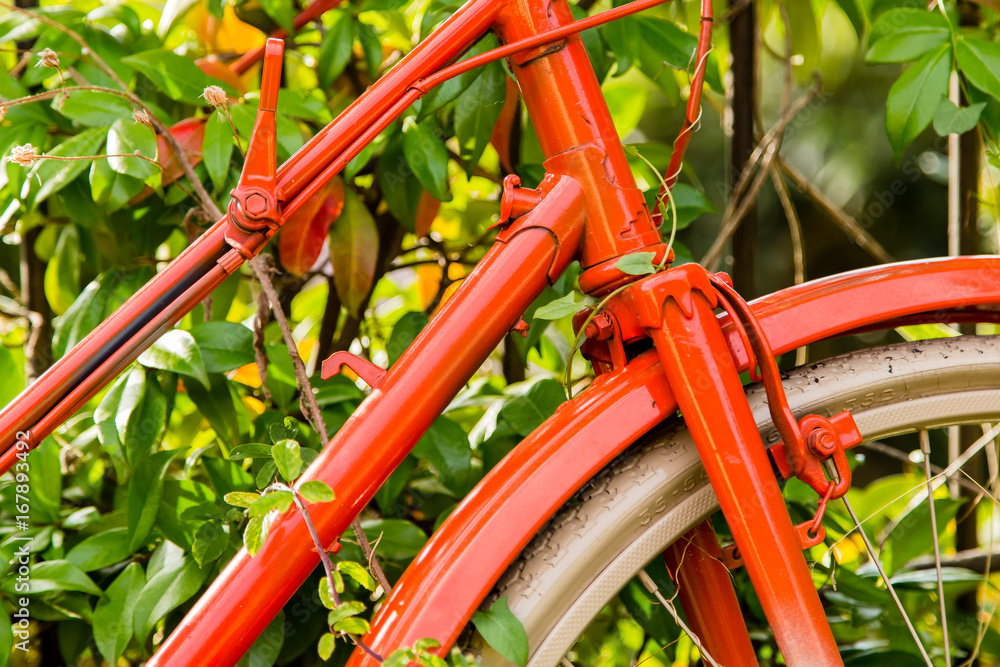 bicycle in close-up