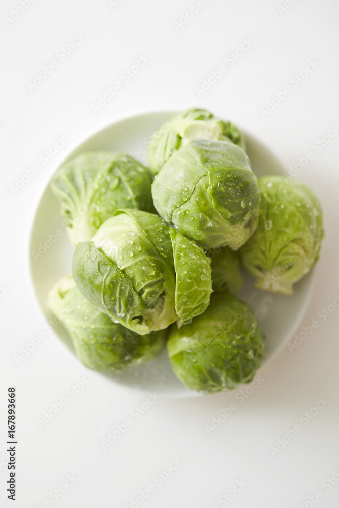 fresh green cabbage on white background fresh green cabbage on white background
