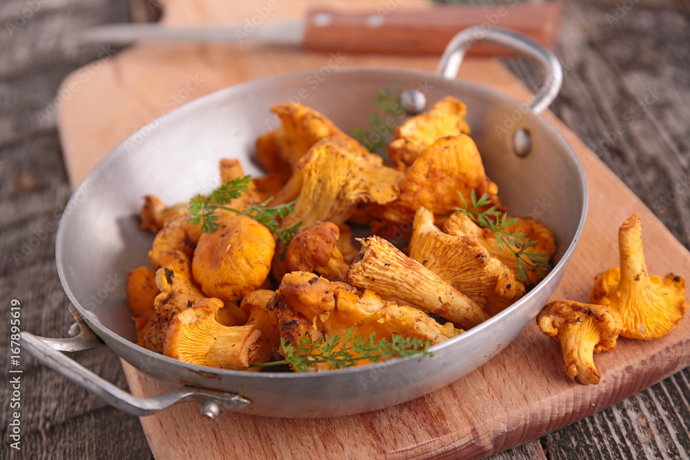 mushroom,chanterelle mushroom,chanterelle