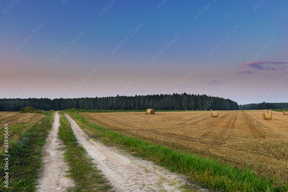 Haystacks by the country road. August countryside landscape. Masuria, Poland.