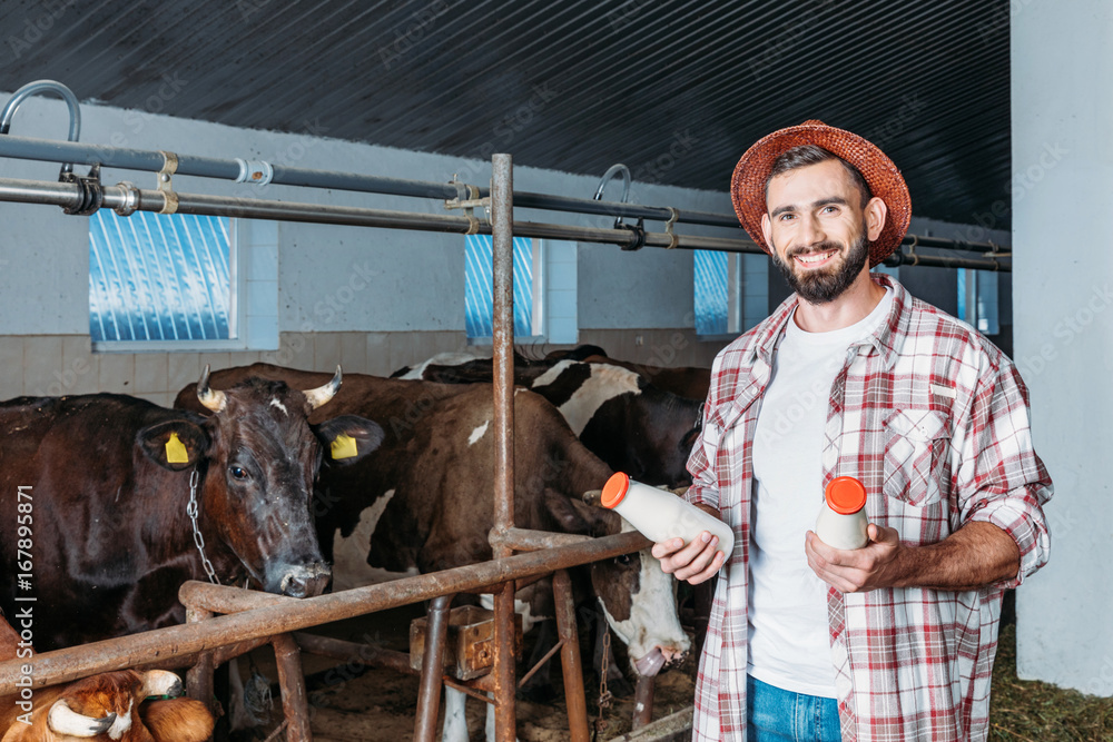 farmer with fresh milk in stall farmer with fresh milk in stall