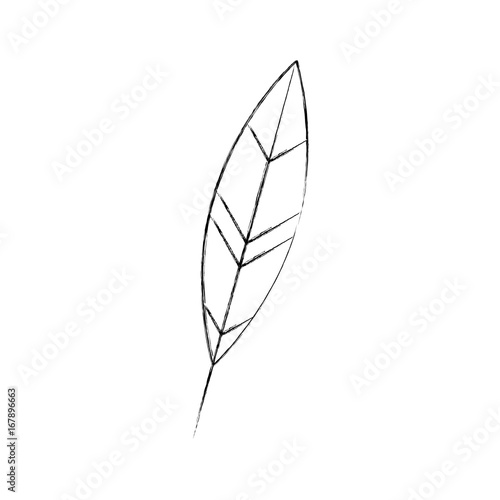 feather ink isolated icon vector illustration design